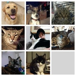 Meet your Posher, Tracey