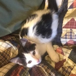Meet your Posher, Maisie