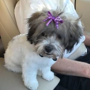 Meet your Posher, Kathy