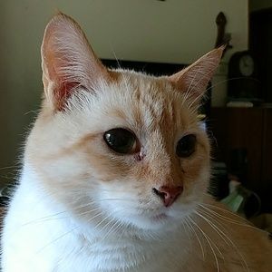 Meet your Posher, Patty