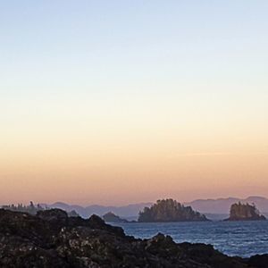 Meet your Posher, Chloe