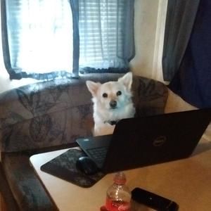 Meet your Posher, Sandra