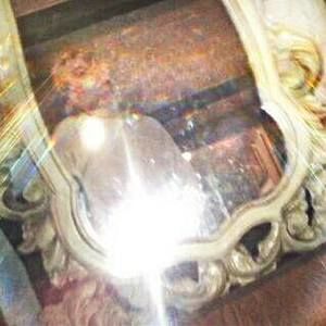 Meet your Posher, Ronnie