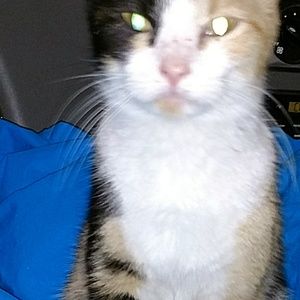 Meet your Posher, Brigitte