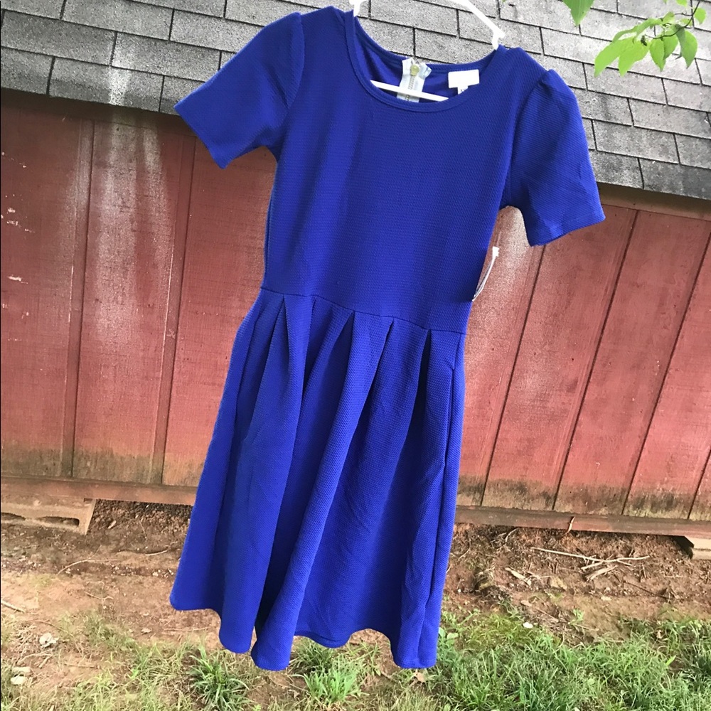 Lularoe Amelia XS dress