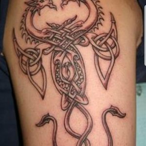 Meet your Posher, Alexander