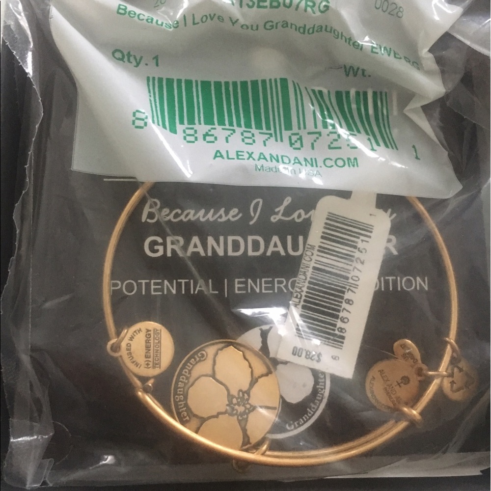 NWT Alex and Ani charm bracelet: granddaughter