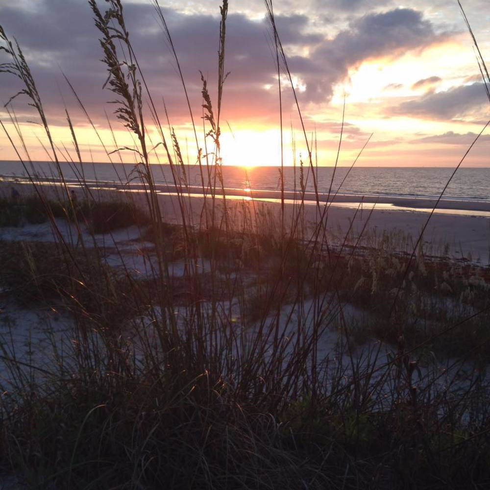 Meet your Posher, Pamela