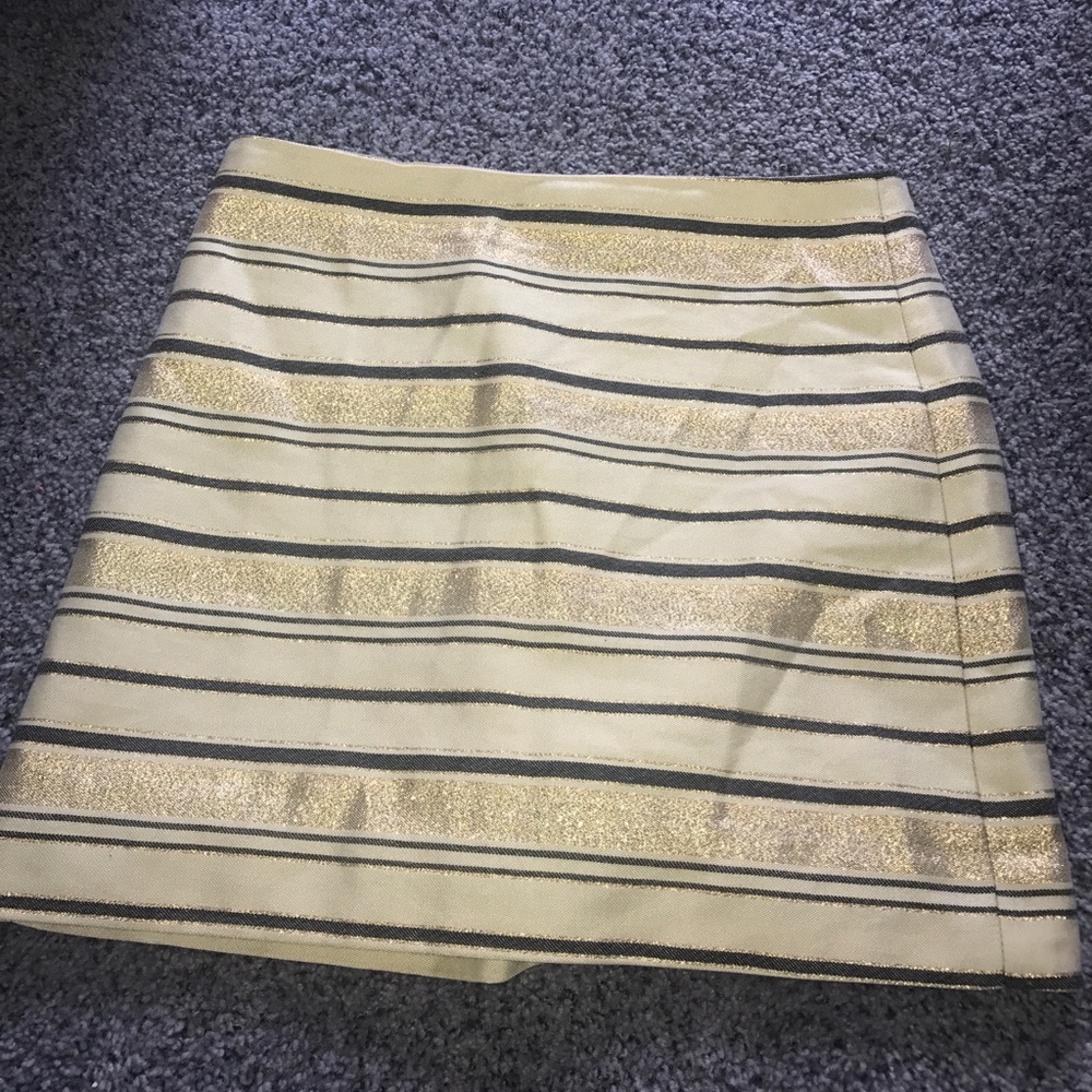 J. Crew Skirt