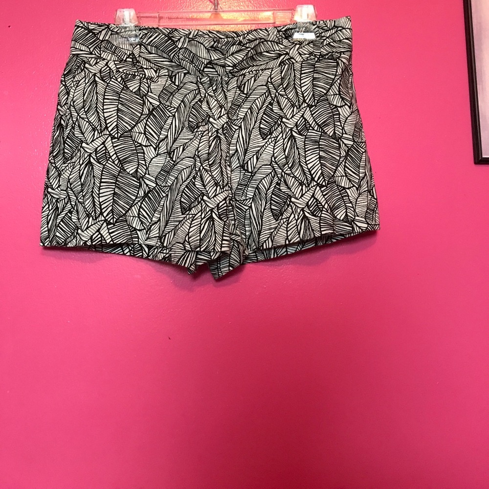 Ann Taylor LOFT Shorts (DONATED)