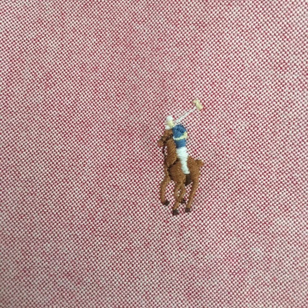 Polo Button Down, Rarely Worn - image 3