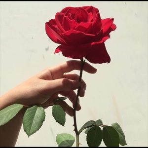 Meet your Posher, Patti