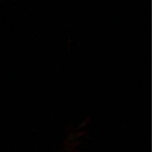 Meet your Posher, Max