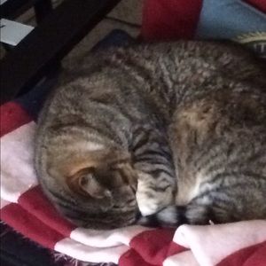 Meet your Posher, Geoffrey