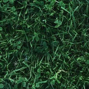 Meet your Posher, Kolton