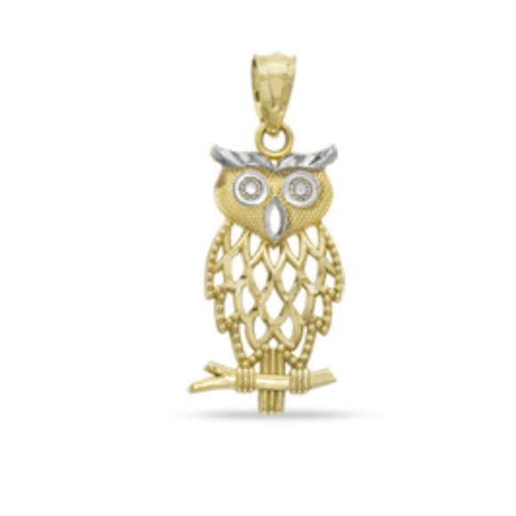 NIB 🦉 Diamond-Cut 2 toned 10k gold Owl Charm - Picture 1 of 2