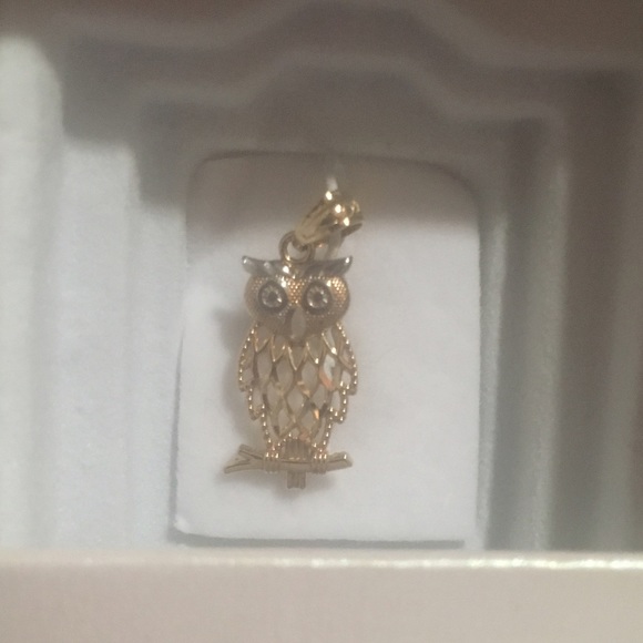NIB 🦉 Diamond-Cut 2 toned 10k gold Owl Charm - Picture 2 of 2