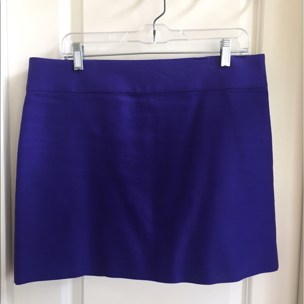 JCrew skirt