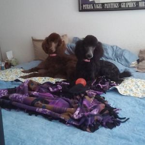 Meet your Posher, Brenda