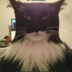 Meet your Posher, Dawana