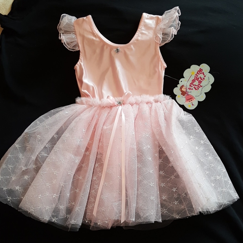 NWT "Imagine That" Pink & Silver Leotard & Skirt