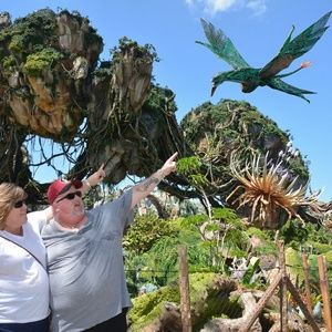 Meet your Posher, Dennis