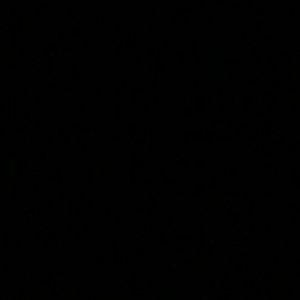 Meet your Posher, Steve