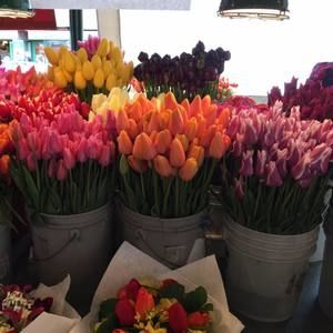 Meet your Posher, Leah