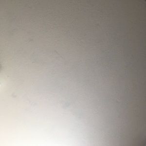 Meet your Posher, Pedro