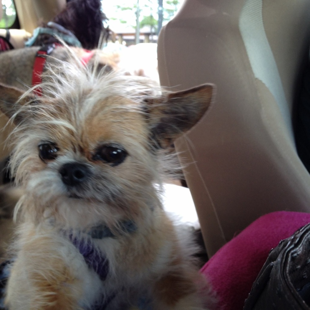 These babies are my whole world.