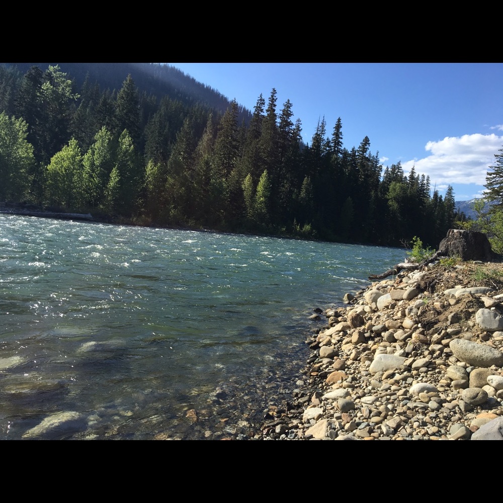 Meet your Posher, Rachel