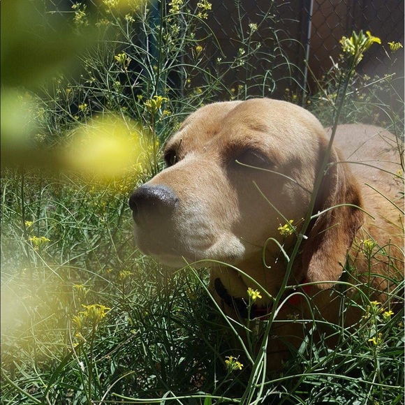 Meet your Posher, Courtney - Picture 1 of 1