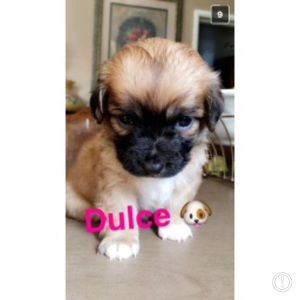 Meet your Posher, Rosario