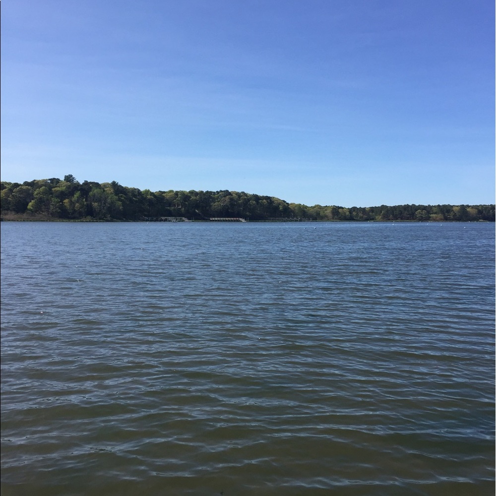 Meet your Posher, Marissa