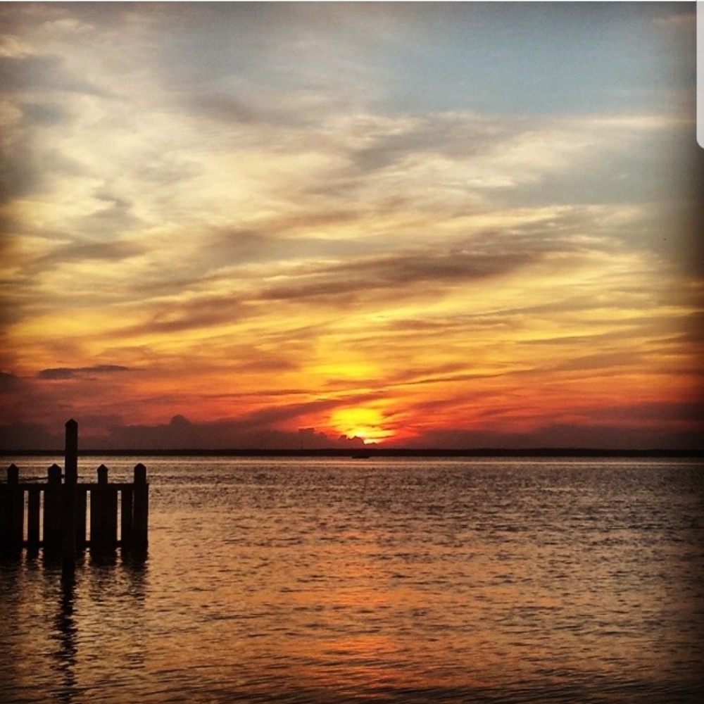 Meet your Posher, Rose