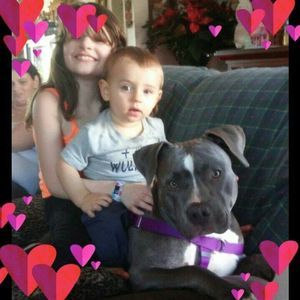 Meet your Posher, Tessa