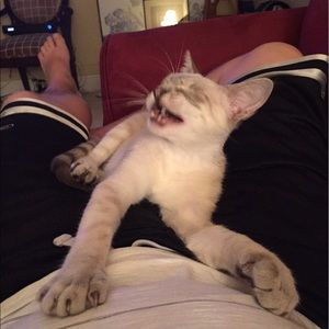 Meet your Posher, Jeff