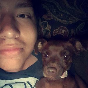 Meet your Posher, Samuel