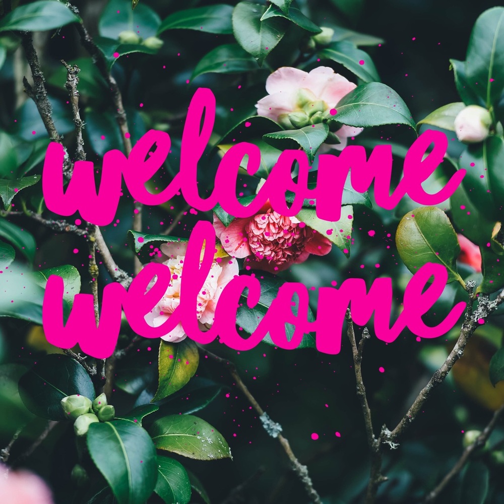 Welcome to My Closet 🌸🎉🌷