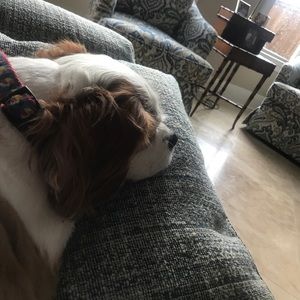 Meet your Posher, Joel