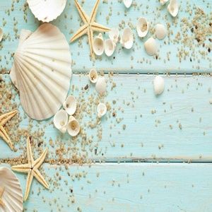 Meet your Posher, Pat