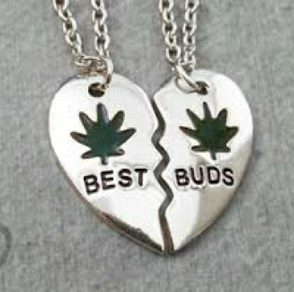 Best Buds Friendship Necklace