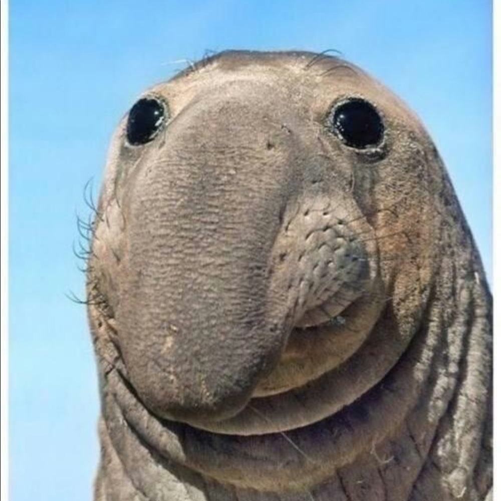 Meet your Posher, Larissa