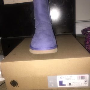 NEW Classic short Uggs