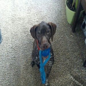 Meet your Posher, Brandon