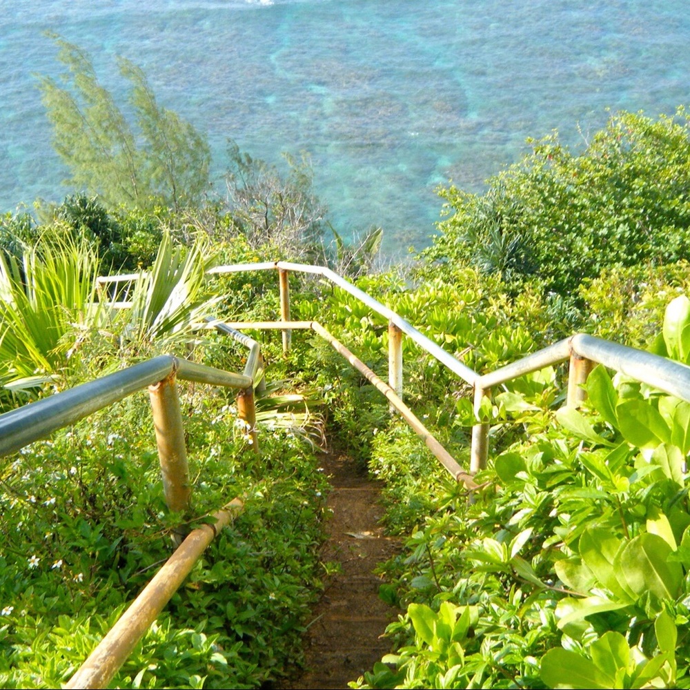 Meet your Posher, Linda