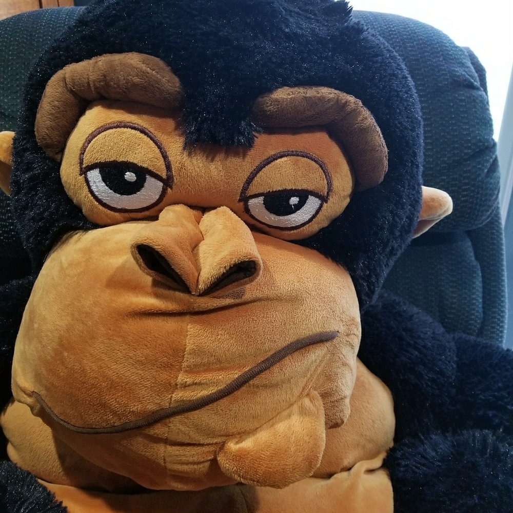 Meet your Posher, Jan