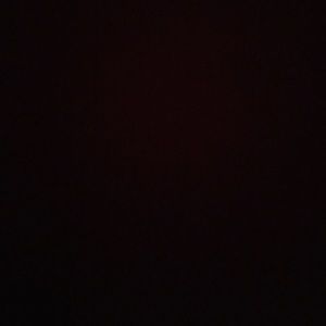 Meet your Posher, Selina