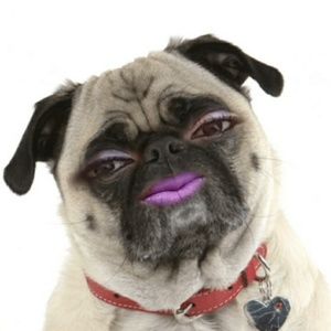 Meet your Posher, Shaleen