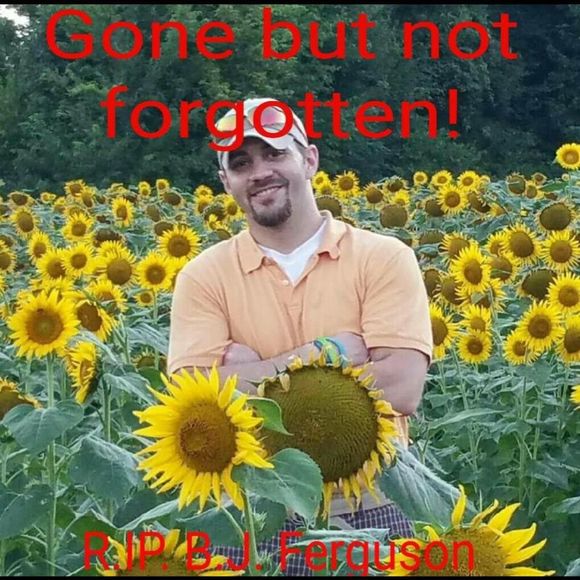 Meet your Posher, Kevin - Picture 1 of 1